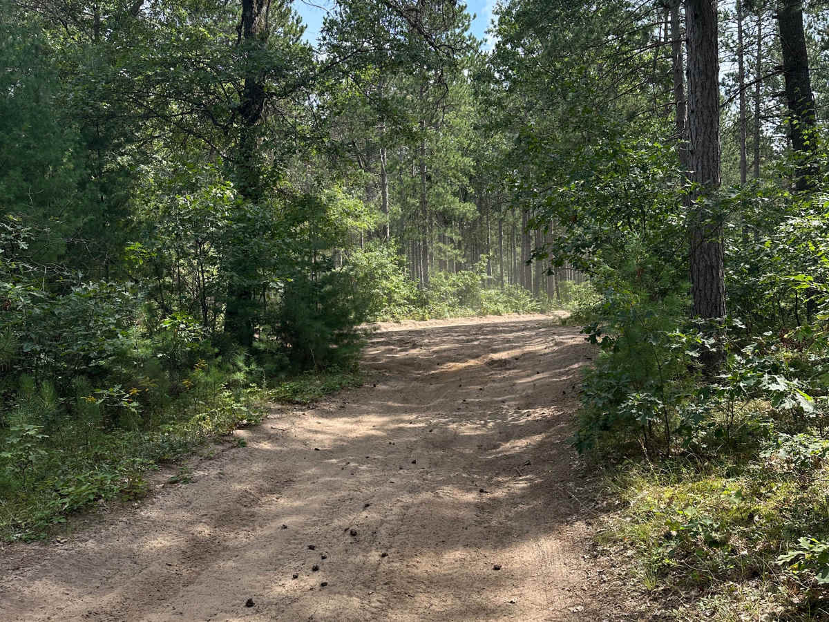 Pond Loop trail photo