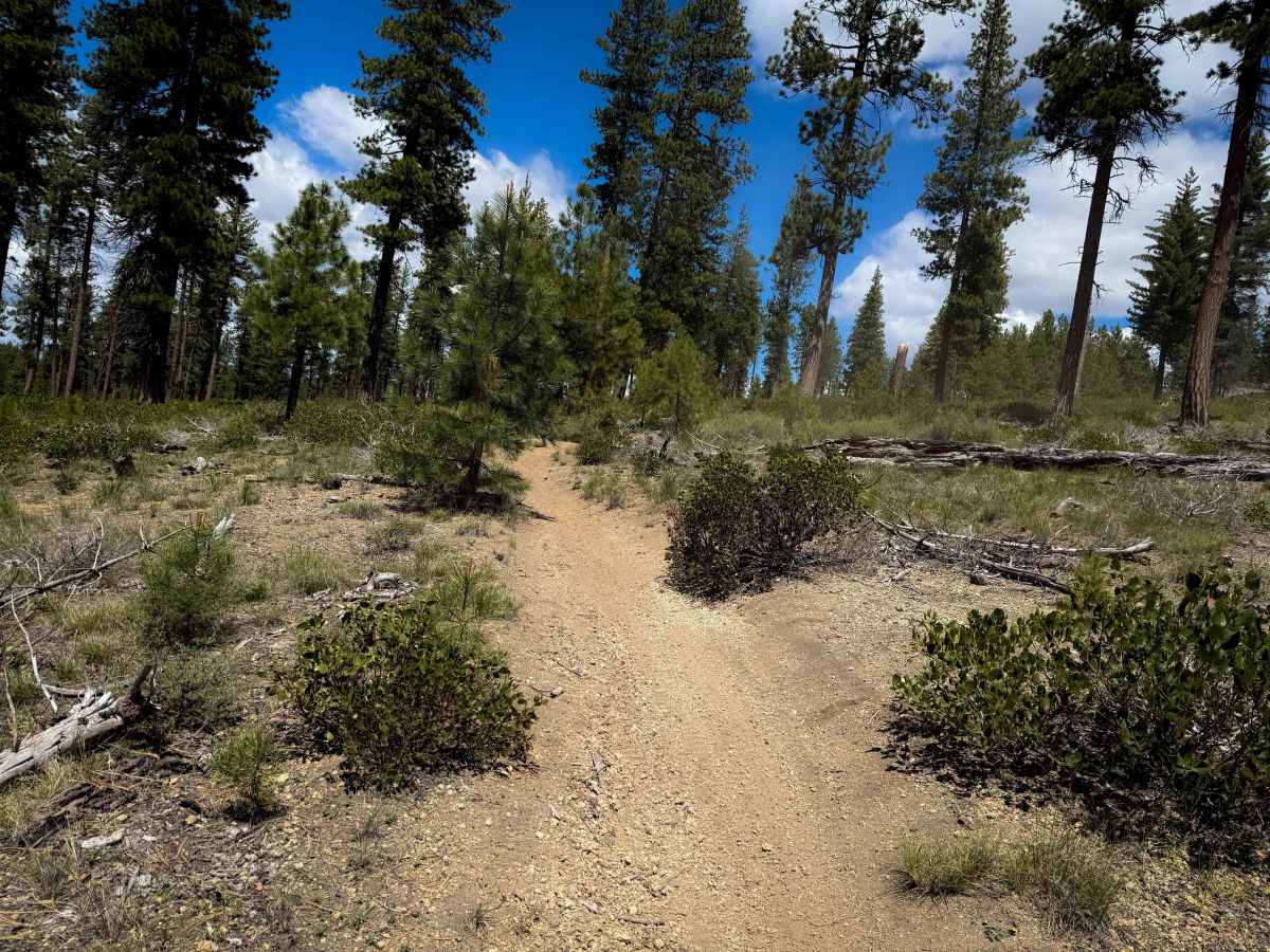 Trail 16  photo 5