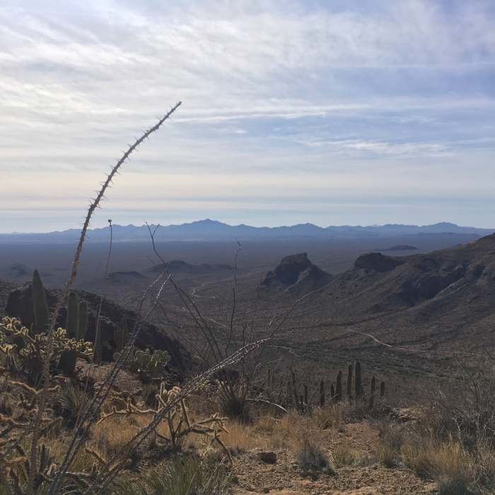 Near Bull Pasture/ Estes Canyon Loop Trail