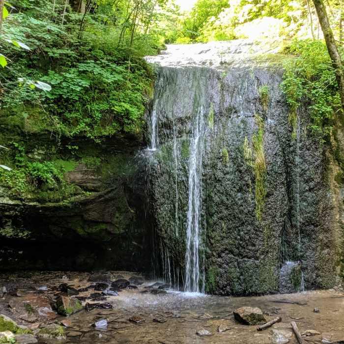 Near Stephens Falls Trail