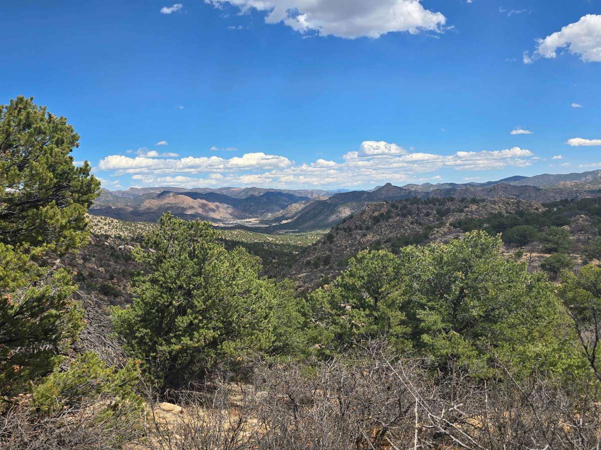 BLM 6210 photo 6