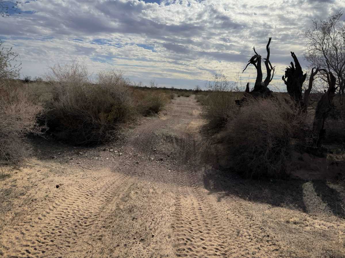 Sonoran Desert Flats  photo 6