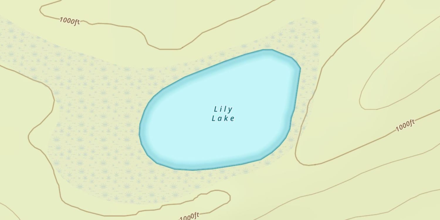 Lily Lake