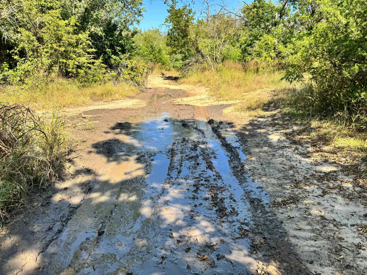 Mud Flap Meadow photo 5
