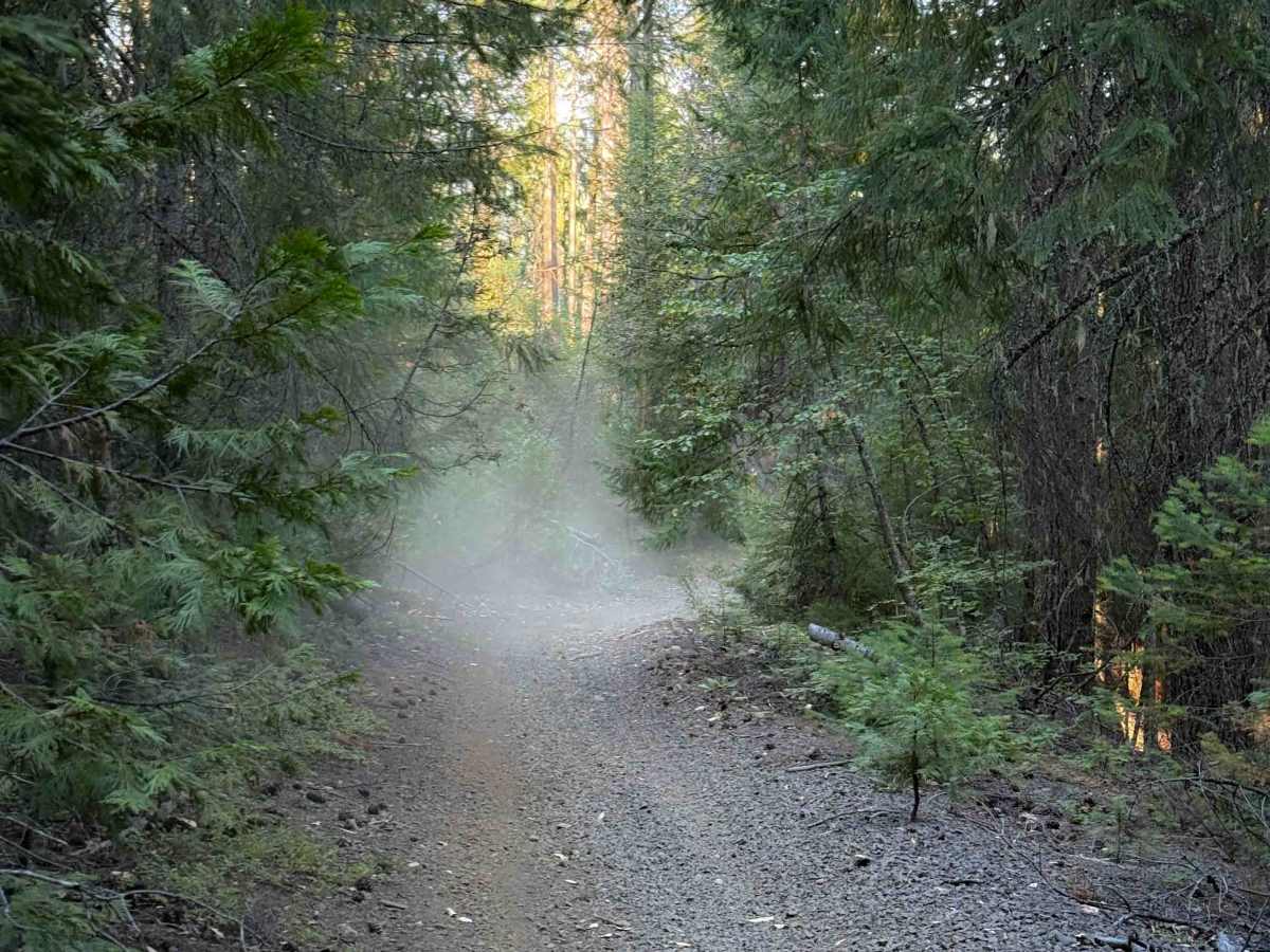 McCall Creek OHV #49  photo 5