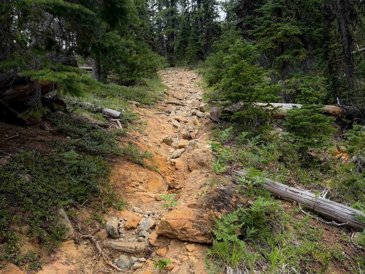 Boulder De Roux (Western Section) photo 5