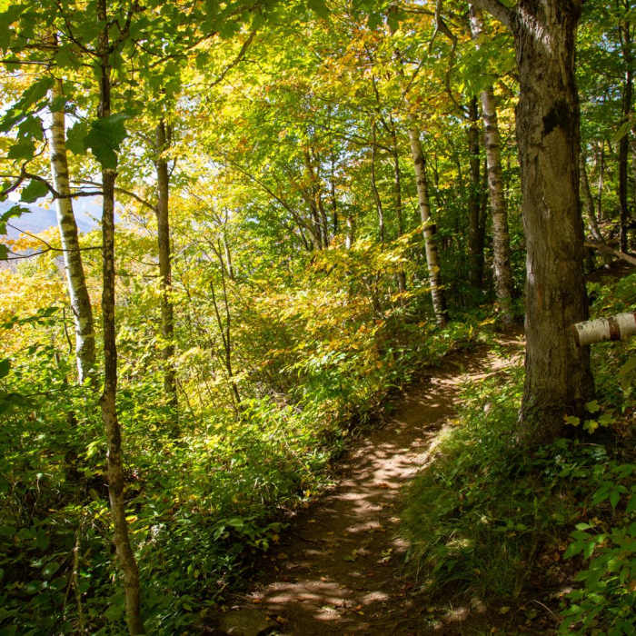 Near Pitchoff Mountain + Balanced Rocks Near Pitchoff Mountain + Balanced Rocks