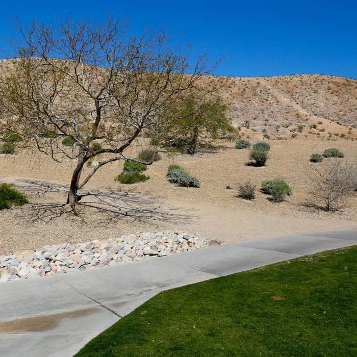 Near Exploration Park Peak Trail