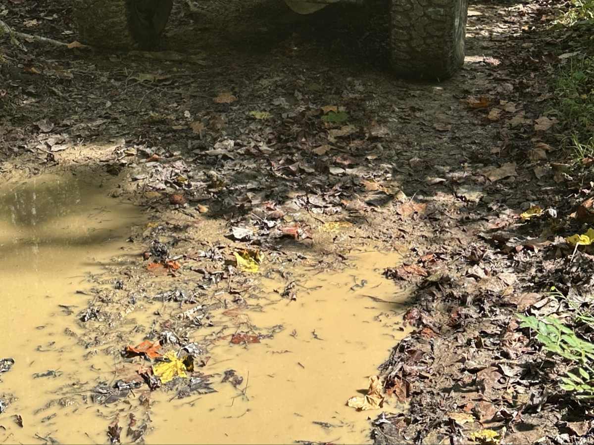 County Park Road photo 4