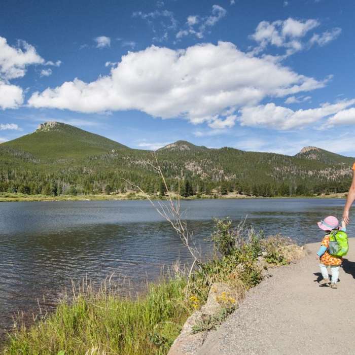 Near Lily Lake Loop Hike
