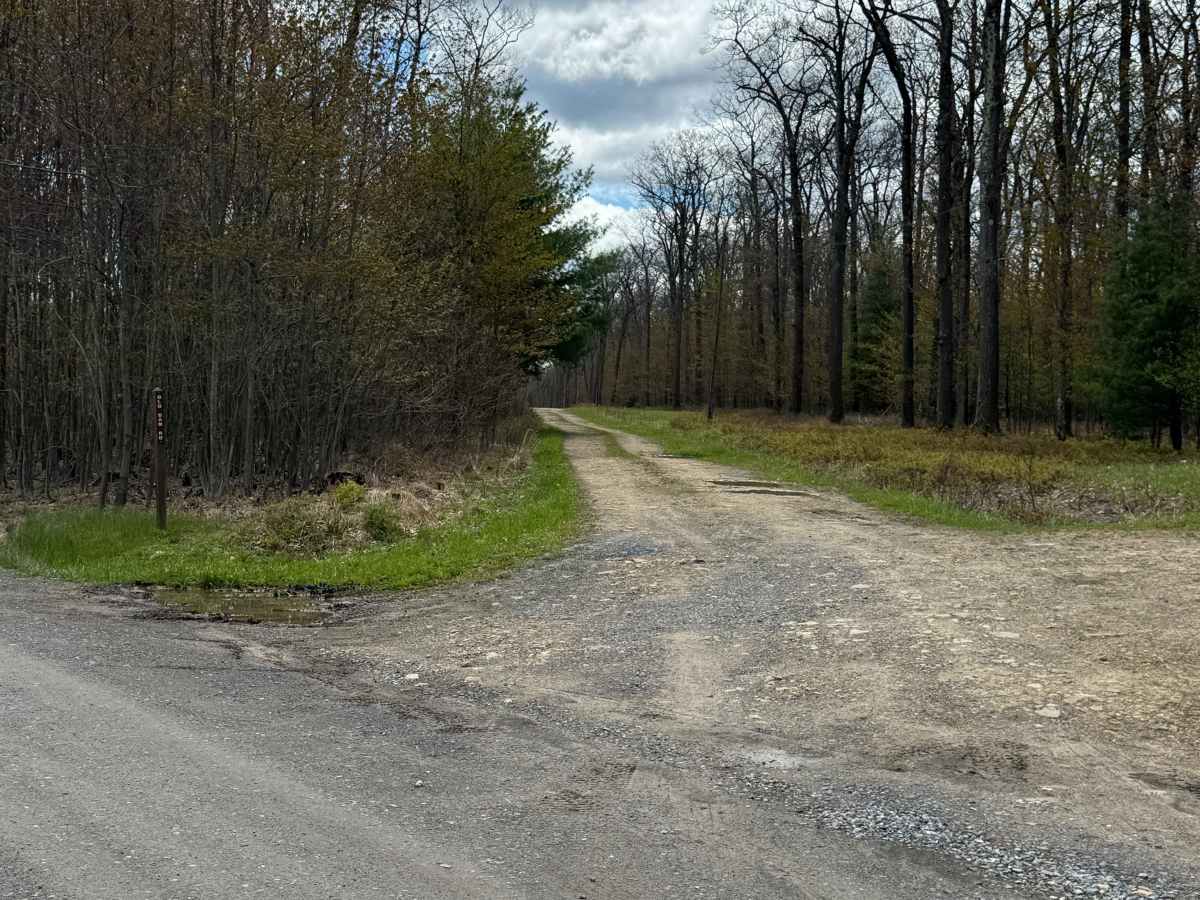 Old Dam Road photo 2