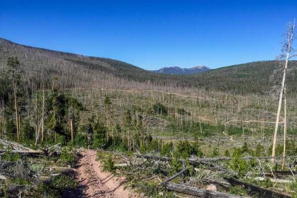 Lily Lake and Wolverine ATV Trail