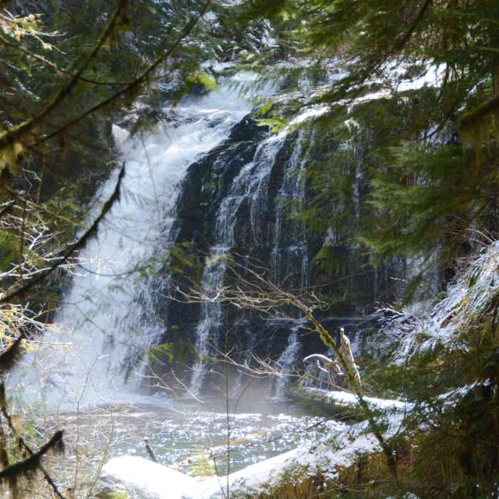 Near Siouxon Creek