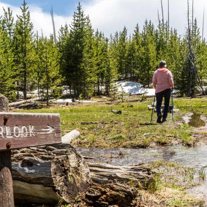 Near Lake Overlook Trail Near Lake Overlook Trail