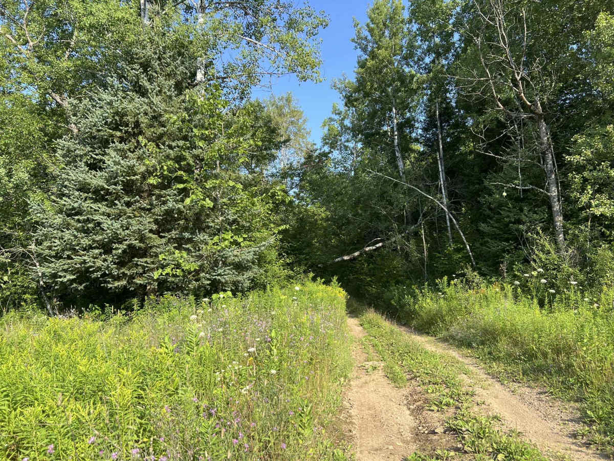 Camp Hayes Road photo 5