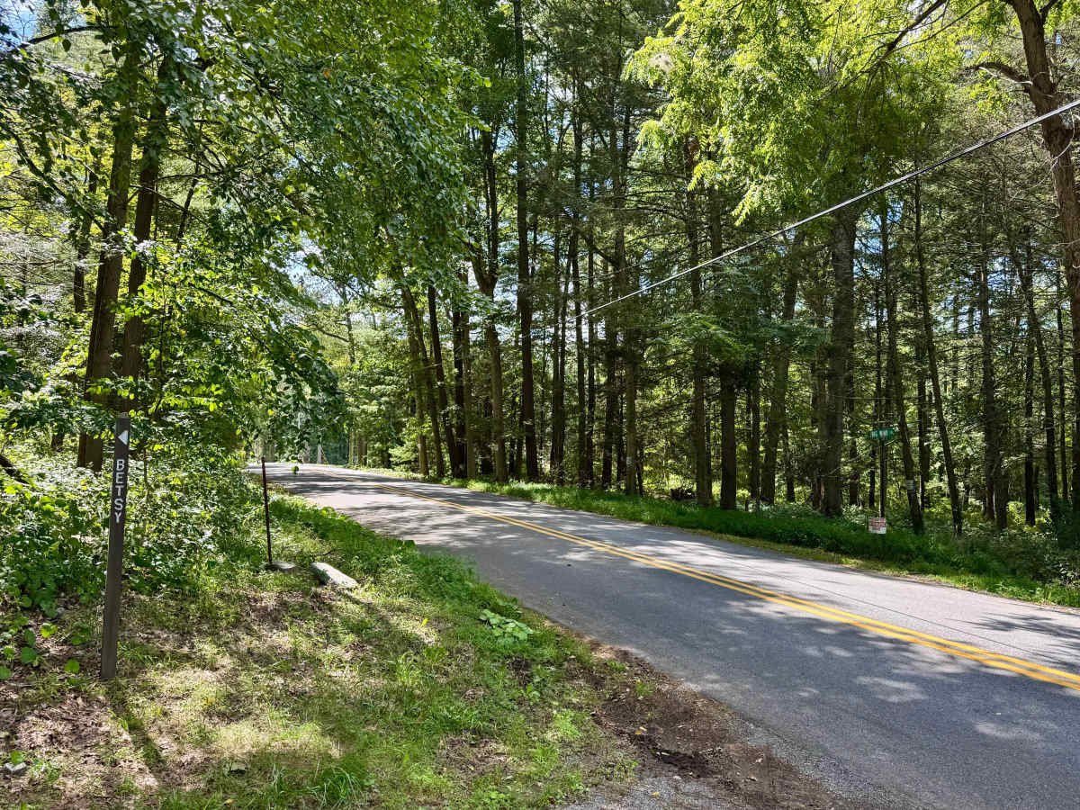 Betsy Road photo 5