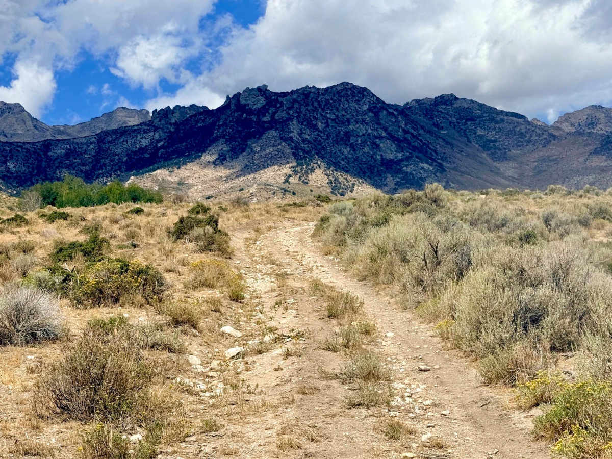 Baxter Creek - FS 57148 trail photo