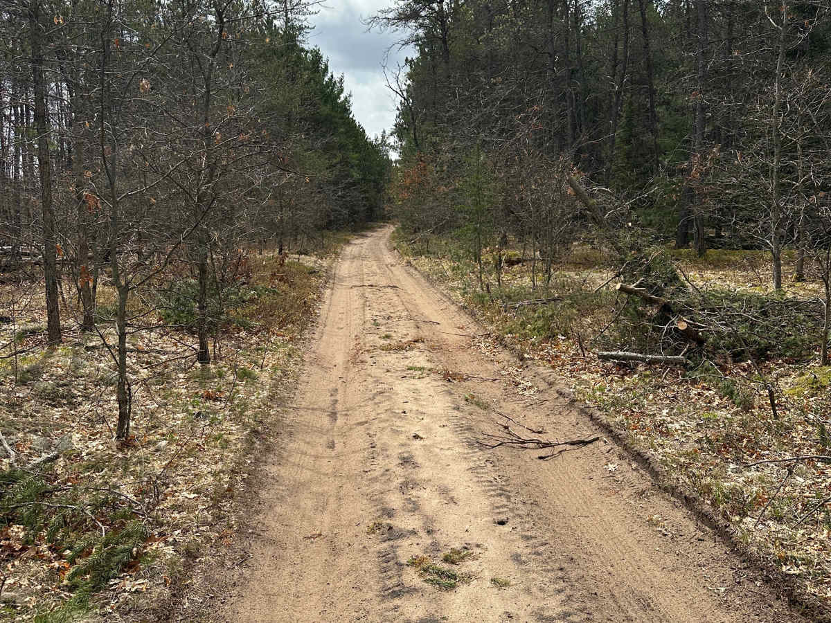 Manistee River Loop photo 2