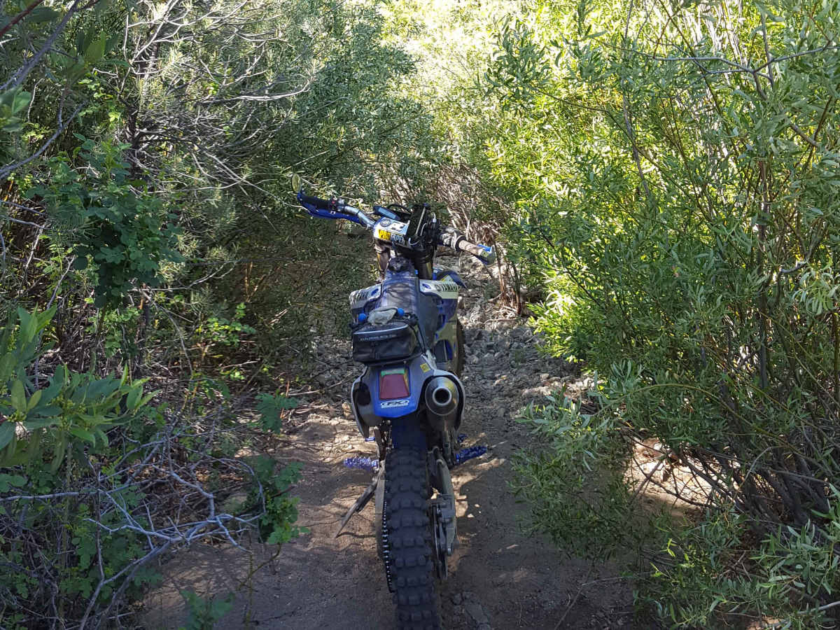Long Dave - FS 19W17 photo 5