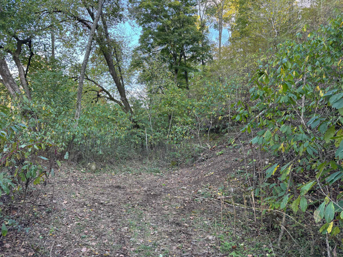 Loopback trail photo