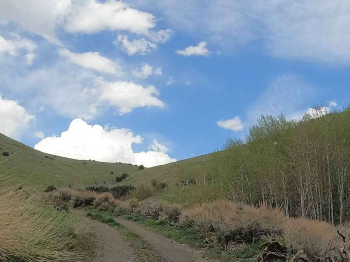 North Fork Big Creek Road - NF43012 photo 4
