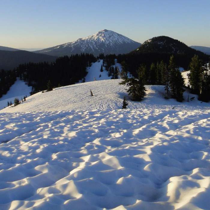 Near South Sister Climber Trail #36 Near South Sister Climber Trail #36