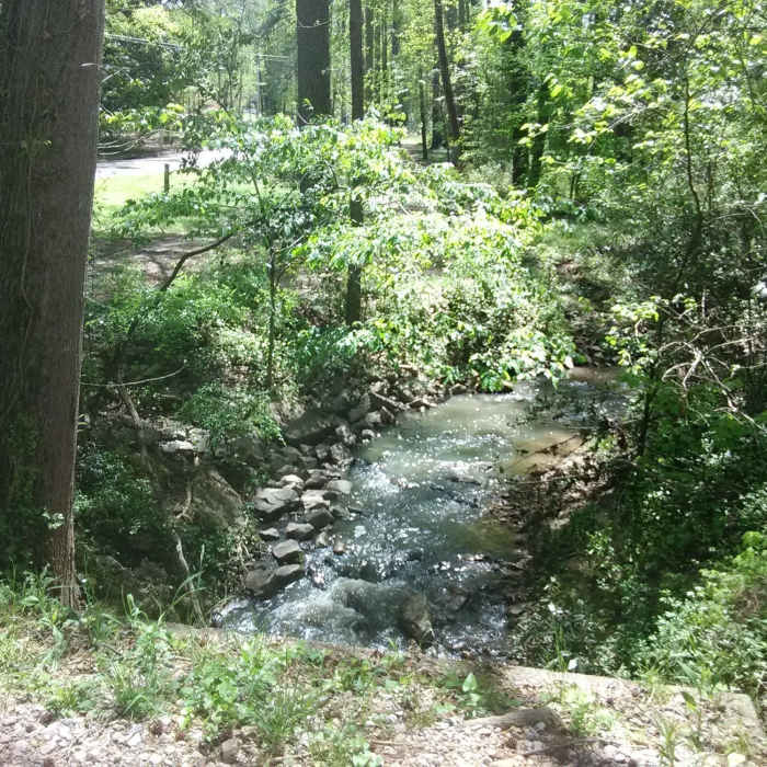 Near Windmere Beaver Dam Park Trail