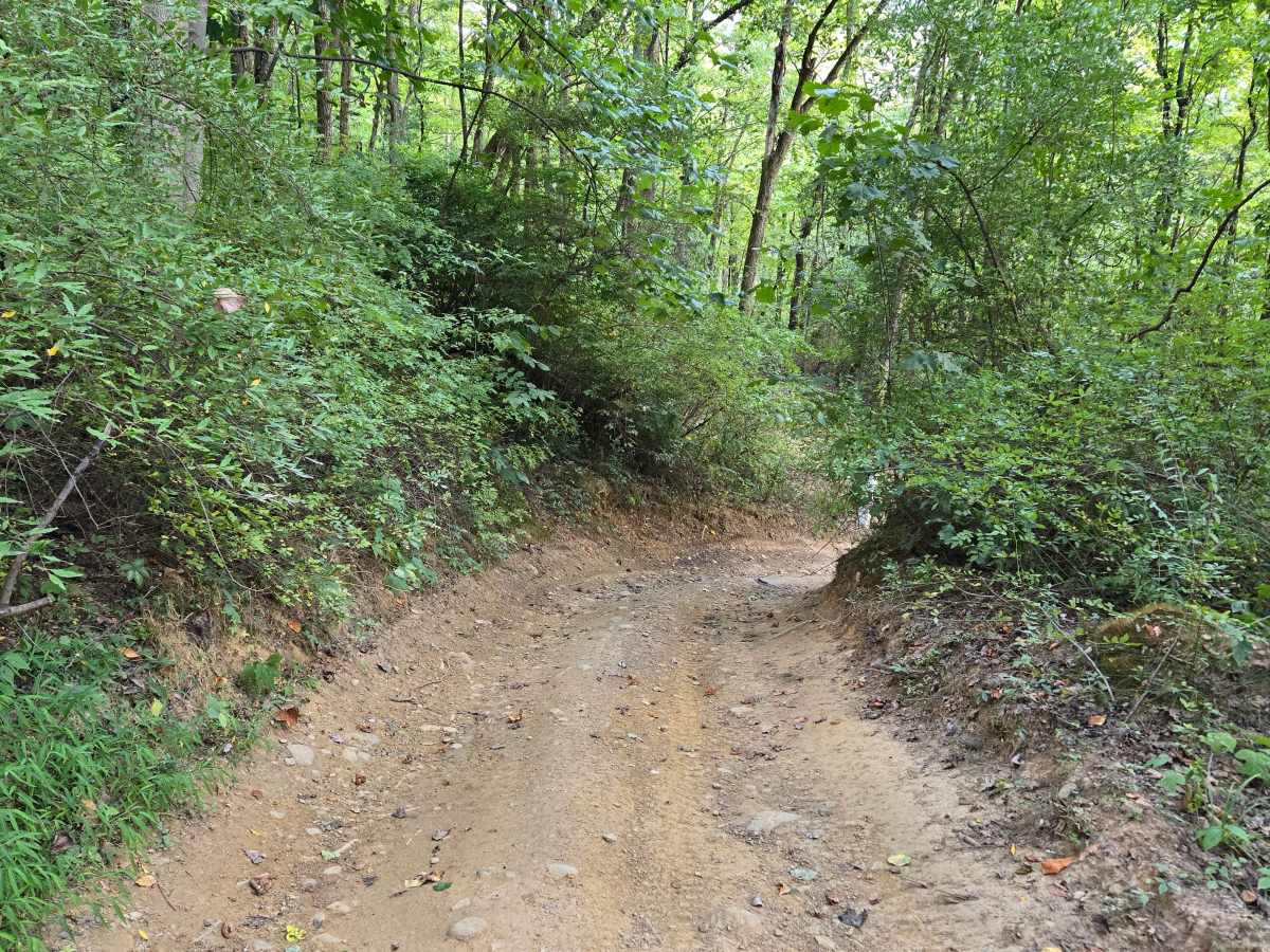 Trail 53 photo 6