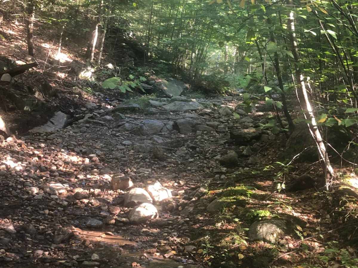 Cobble Hill Road Trail photo 5