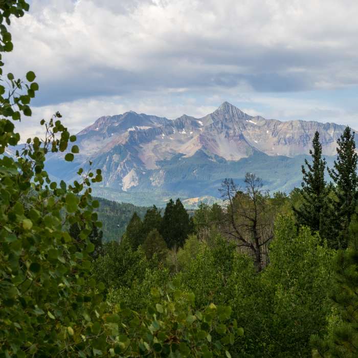 Near Eider Creek Trail