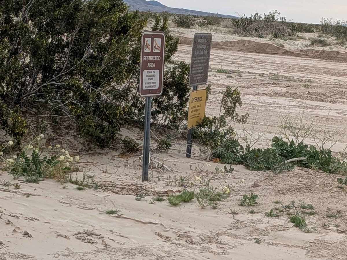 San Felipe Wash Road trail photo