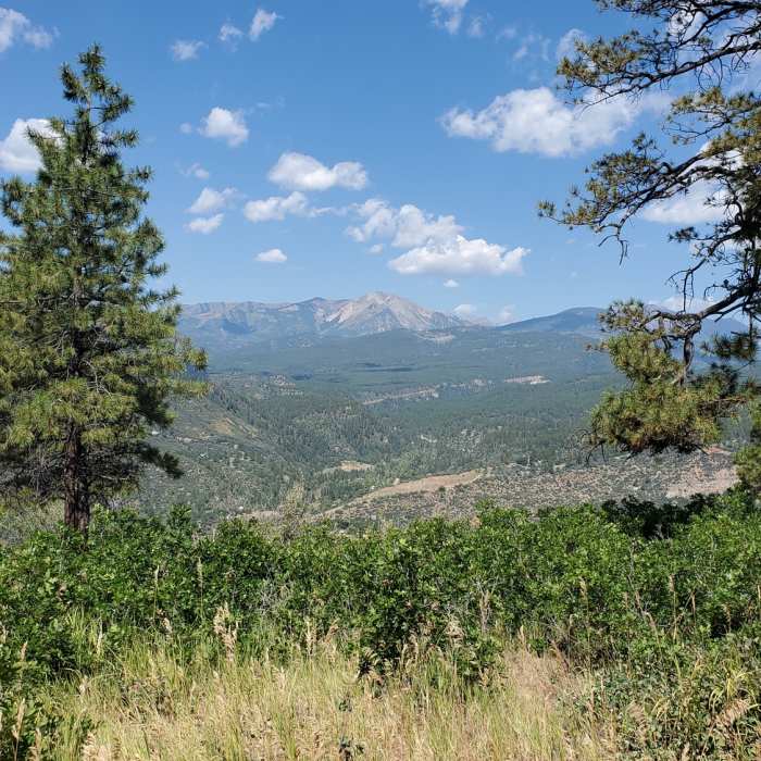 Near Loam Zone Trail