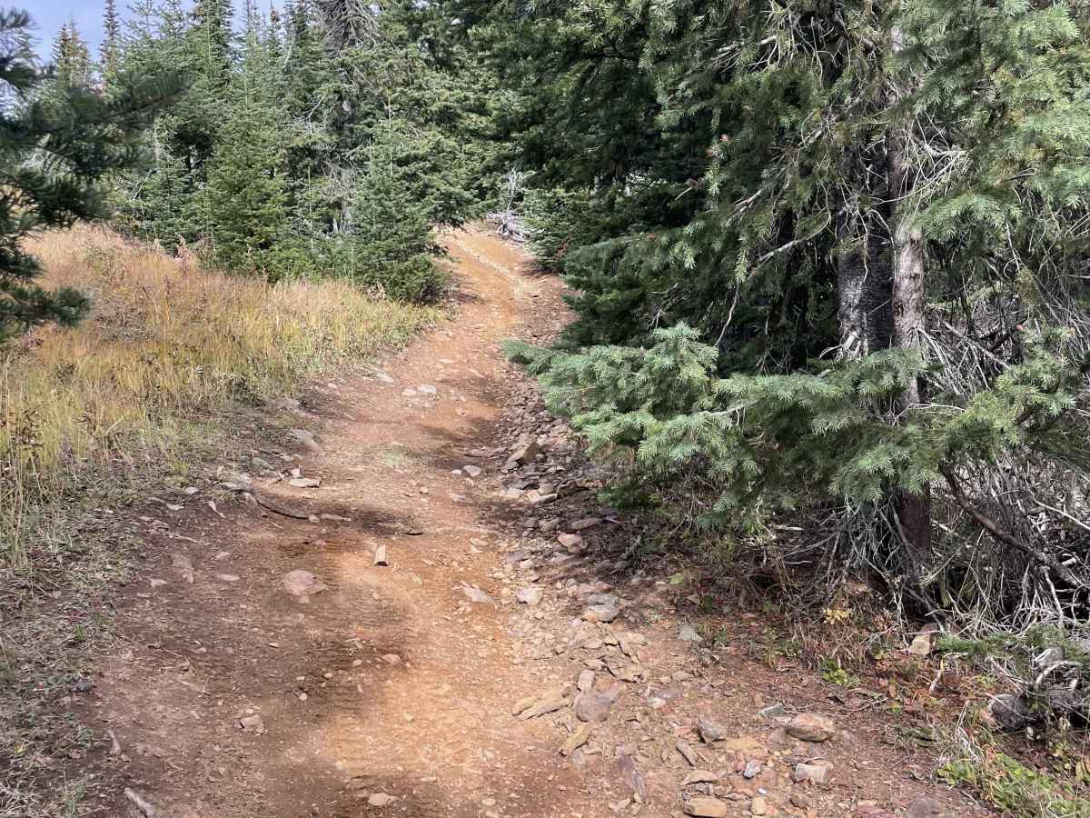 Lolo Heffley Connector trail photo