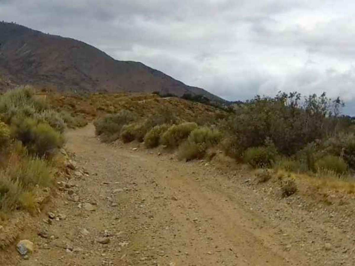 Meadows Trail photo 4