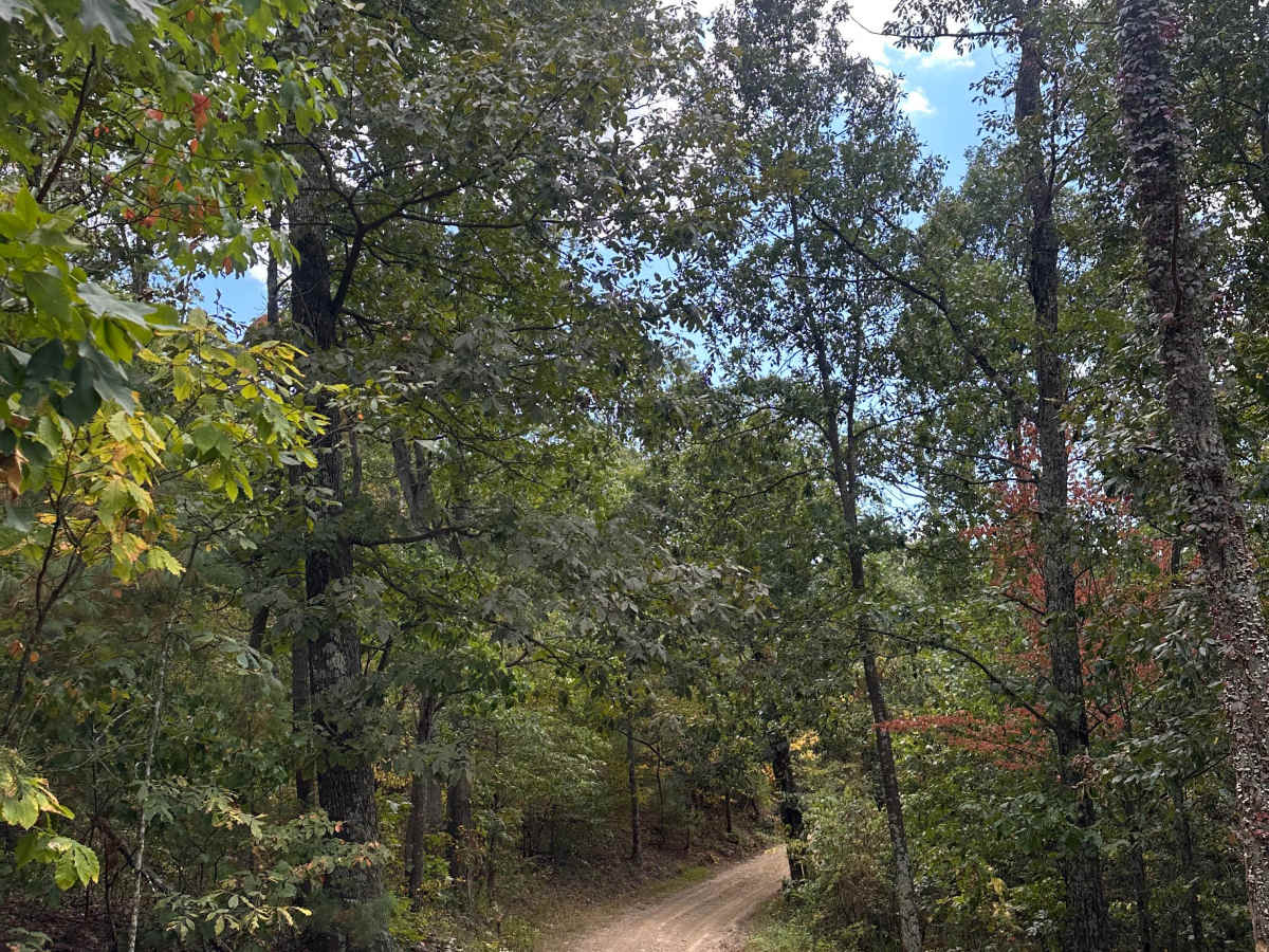 Raccoon Ridge  photo 3