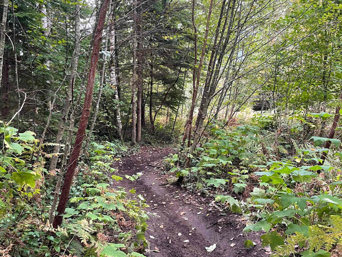 Even Flow North Connector photo 4
