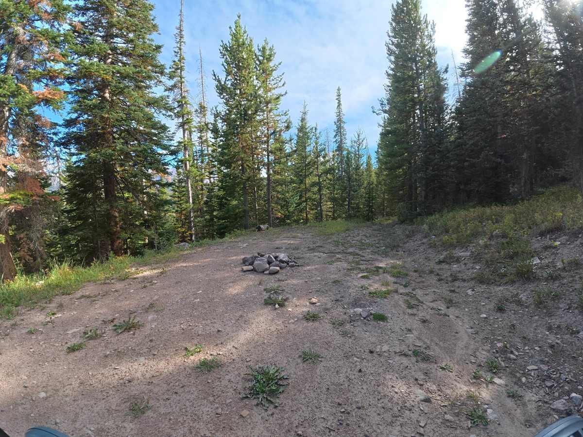 Lower Spring Creek Road trail photo