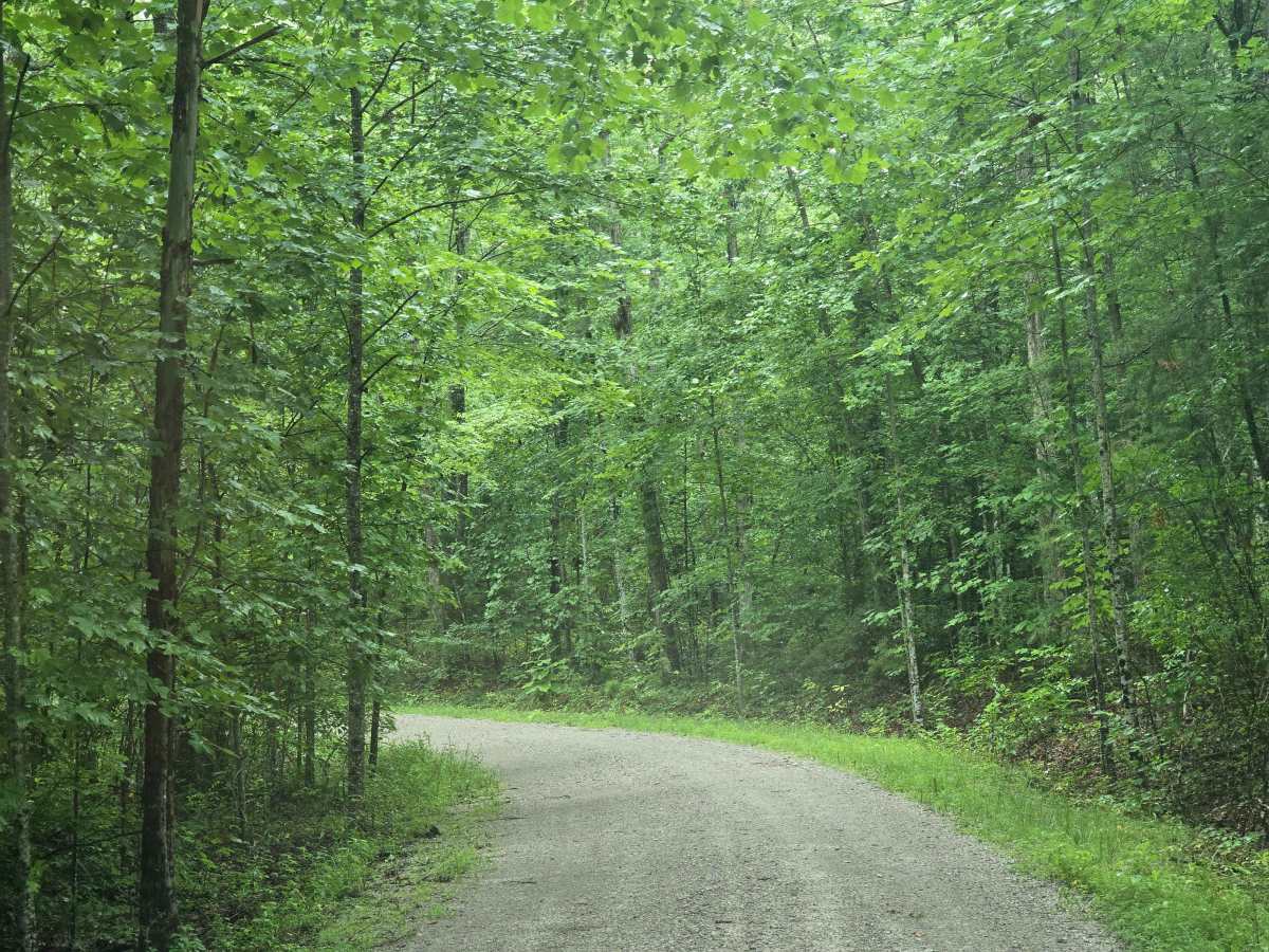 Terry Cemetery Road trail photo