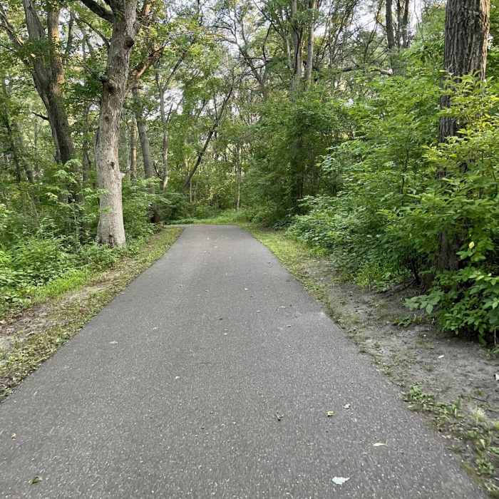 Near Marshan Lake Trail