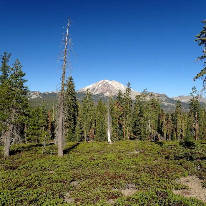 Near Lassen Lakes Loop