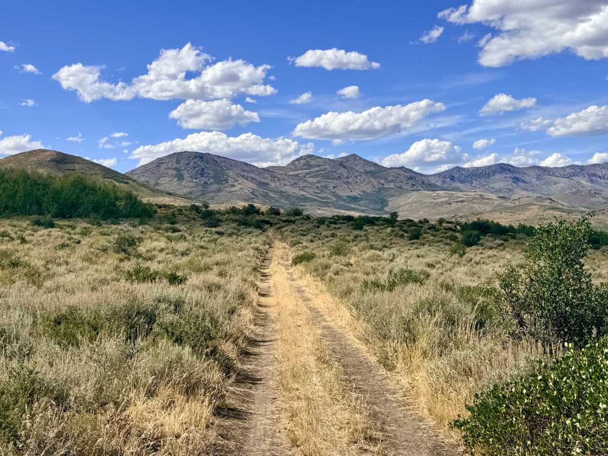 South California - FS 56154 trail photo