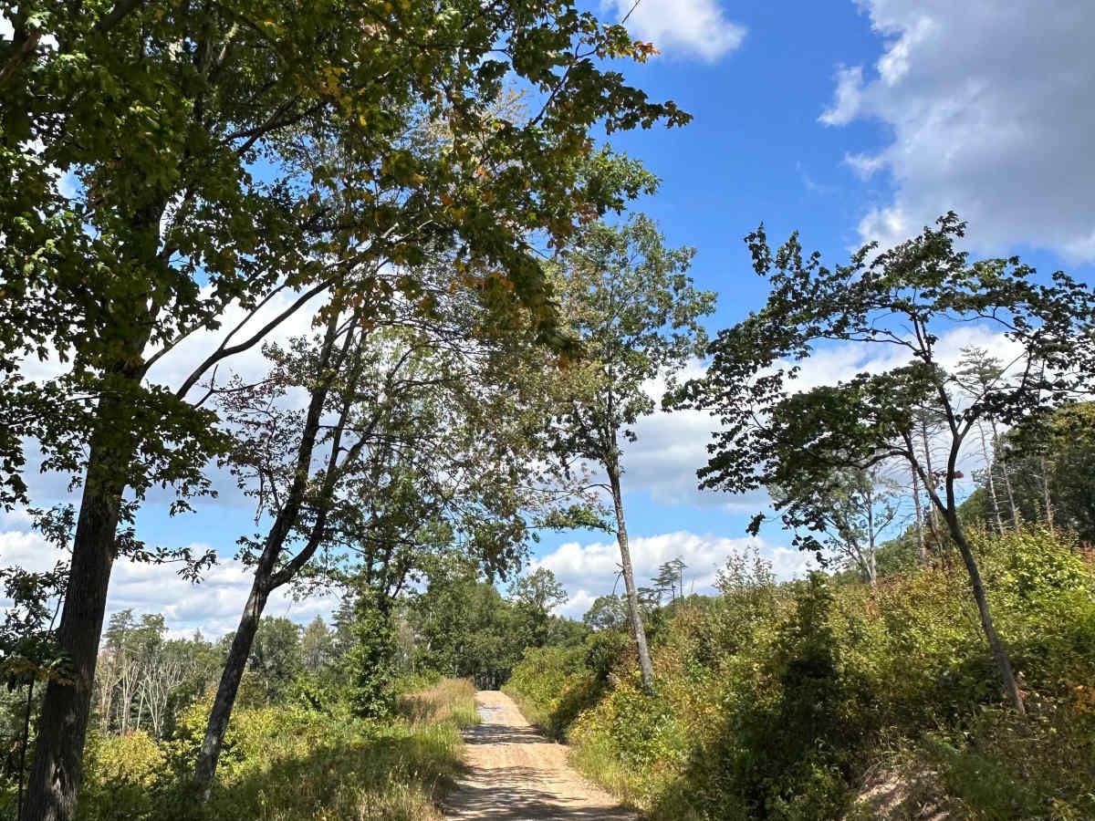 Mount Zion  trail photo