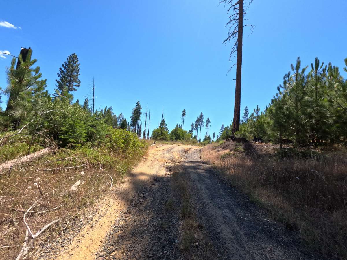 FS 1S24 photo 4