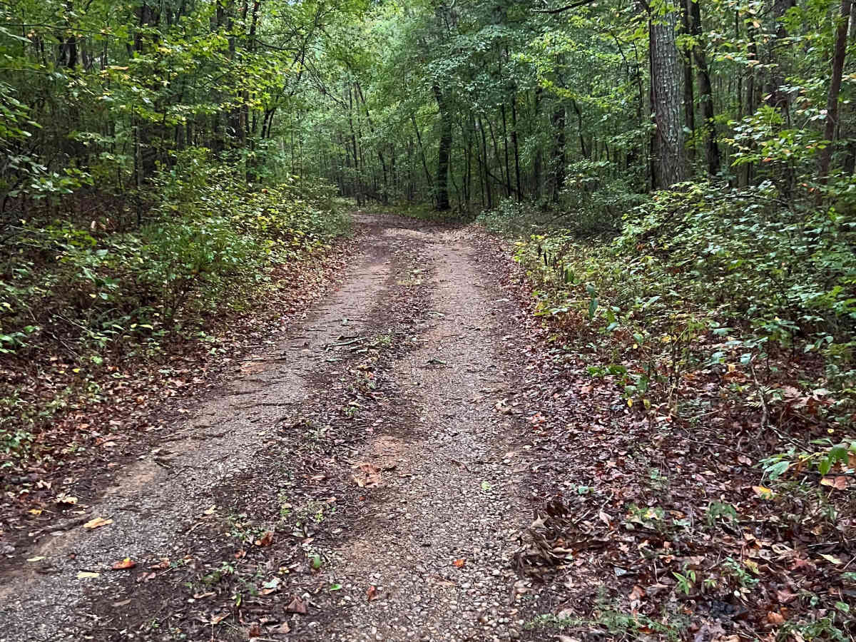 Turkey Creek - FS 212B photo 5