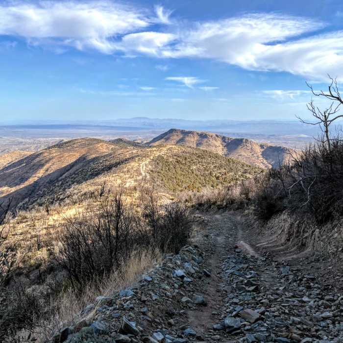 Near Arizona Trail Passage 12: Oracle Ridge
