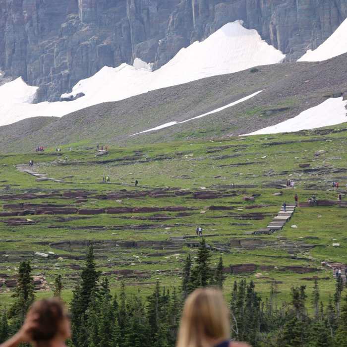 Near Hidden Lake Hanging Garden Trail