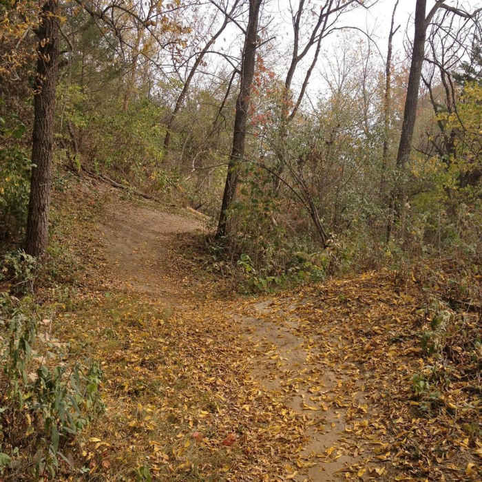 This is a typical hill on the Comer Pocket Trail. Near Banner Lakes at Summerset State Park