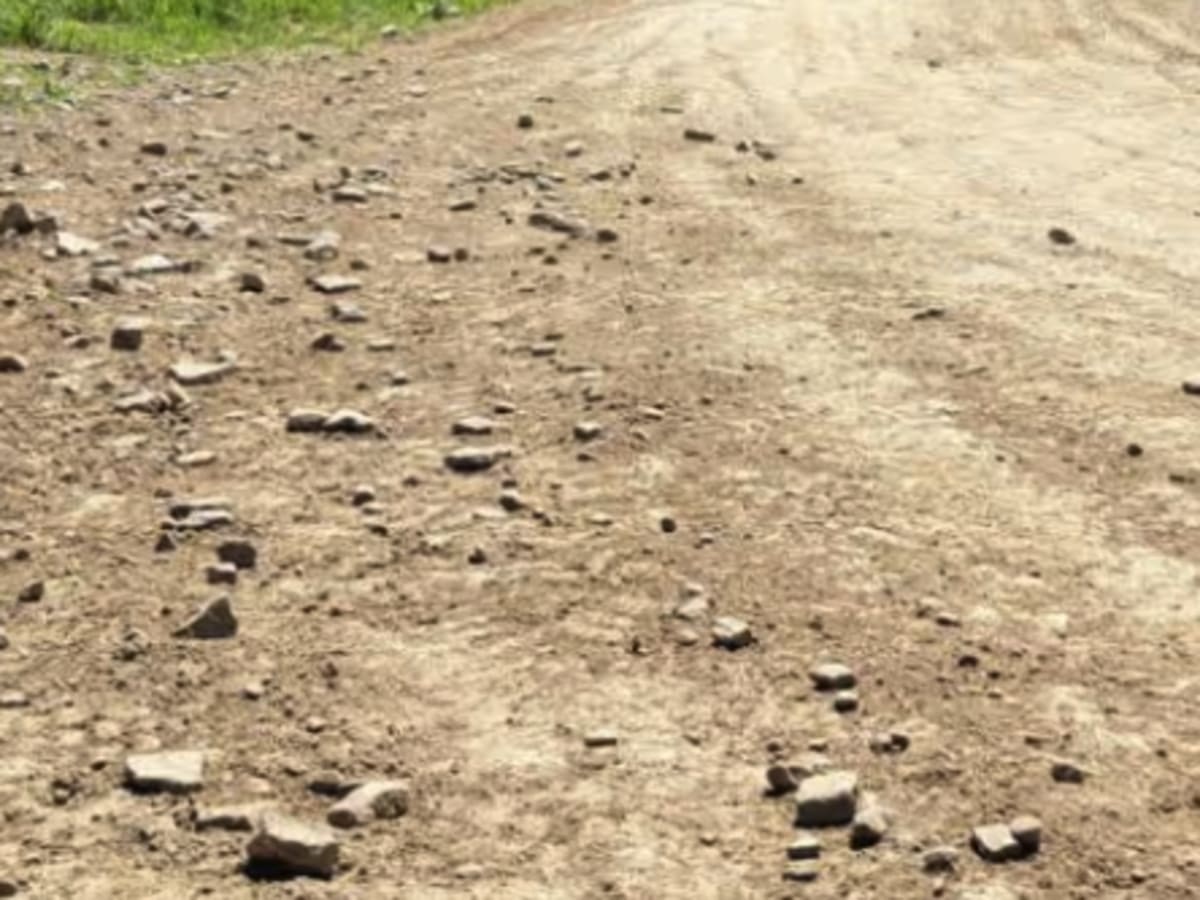 Farm Road 1 photo 5