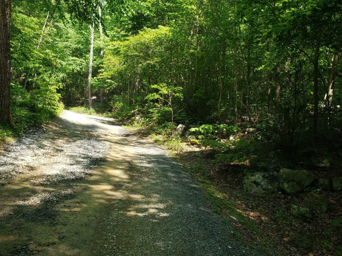 Emerald Pond trail photo