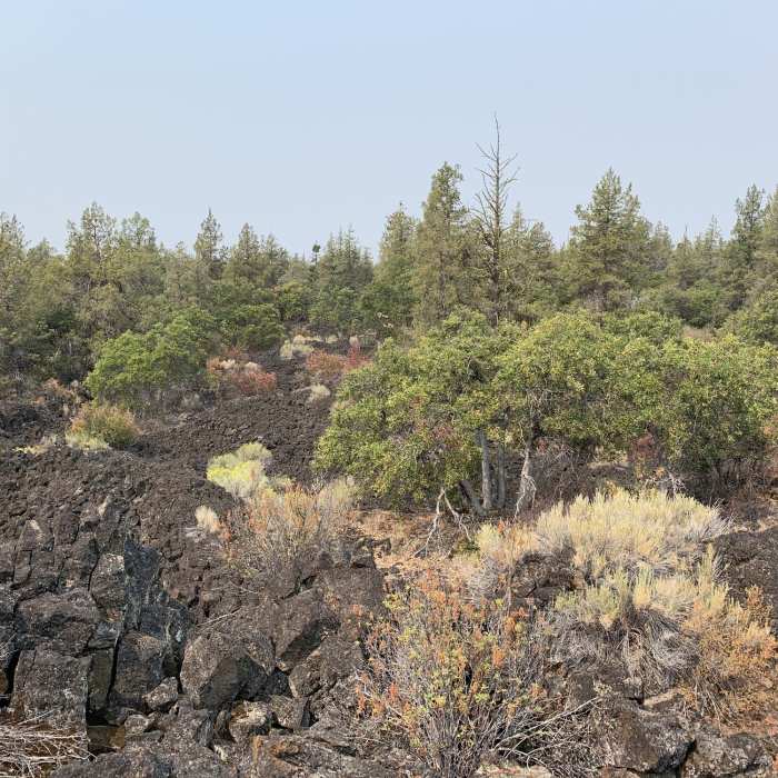 Near Spatter Cone Loop Trail